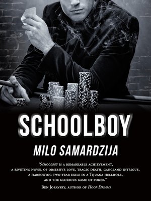 cover image of Schoolboy